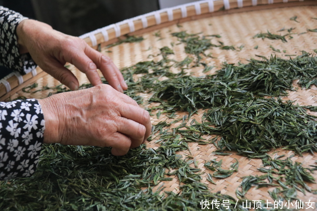 不负春色 | “春茶繁花” 私藏春季献礼|杭州天域开元观堂 | a8338