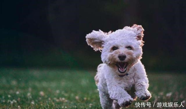 头像|你的微信头像里，有你不想长大的秘密