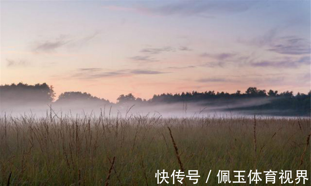 秋夜独坐@王维晚年写下的这首禅诗,通篇意境高远,同时每一句都有大智慧!