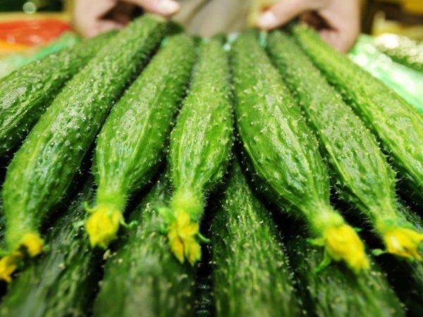 亚硝酸盐|一根黄瓜,一家四口全住院,吃黄瓜必须避开的4个禁忌!