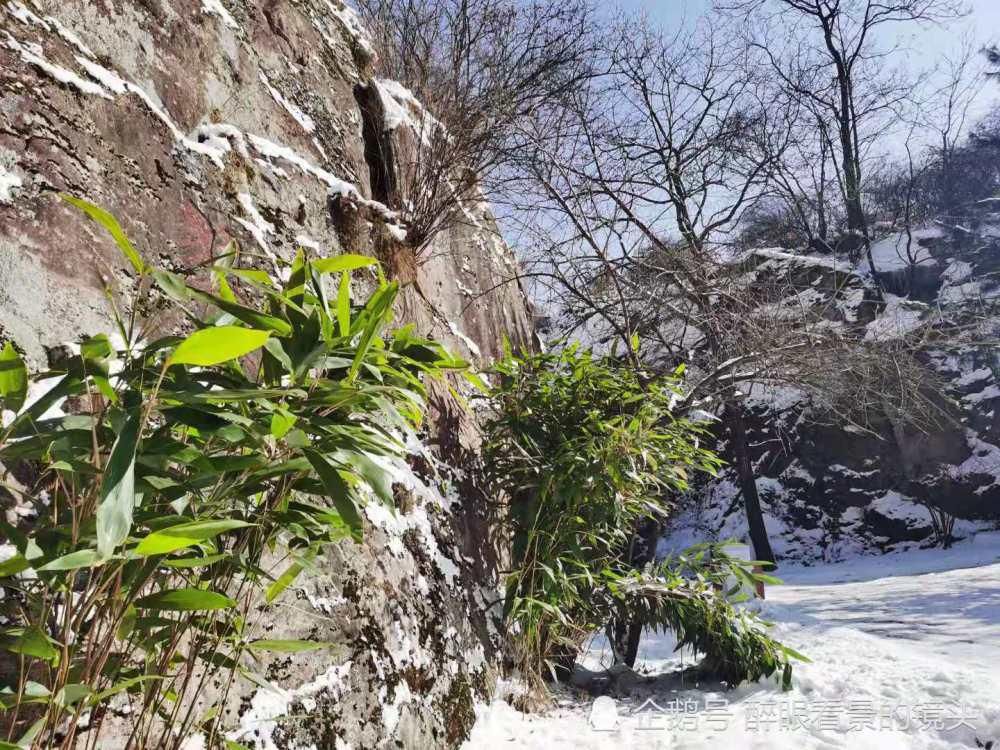 辞旧迎新登高翠华山 赏雪景看晴空万里