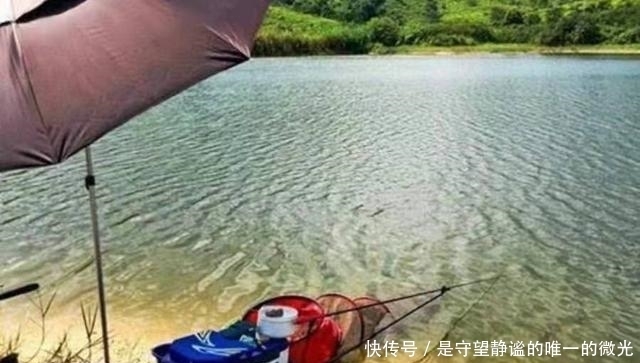 不管三七二十一,春季只要牢记4句口诀,鲫鲤鱼轮番上钩,倍儿爽