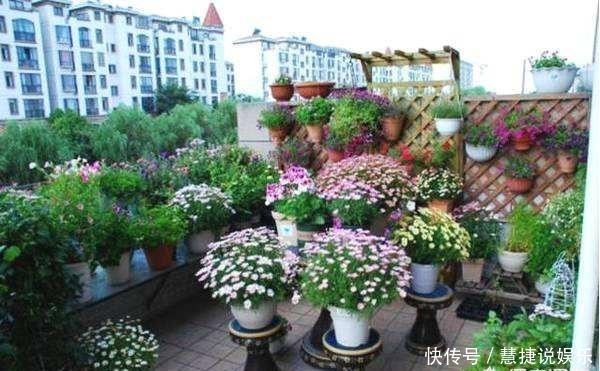 养花不会施肥记住3点就行了,学会了“一生受用”