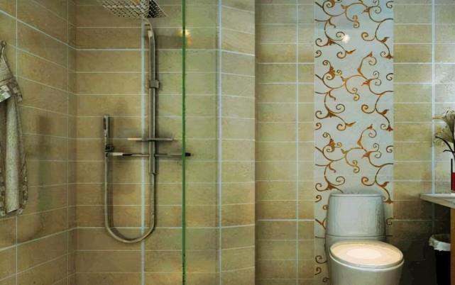 便器|头一次见有钱人将蹲便器装淋浴房里,太聪明了,真懊悔现在才知道