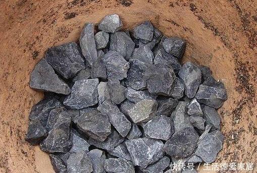 适合|花盆里加点这个,不烂根不黄叶,轻松养满盆