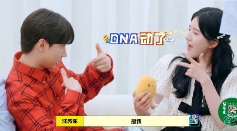 凤凰传奇|汪苏泷、赵露思再次无默契互动,何炅在线吐槽:手忙脚乱像擒拿