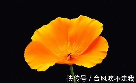 天蝎|7天后,分分合合,不再忍耐,忘记前任,展望未来,迎接崭新人生