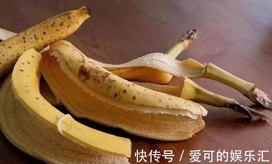 鸡蛋壳|家里的2种垃圾别丢了,用来养蟹爪兰,秋冬开花多更艳丽