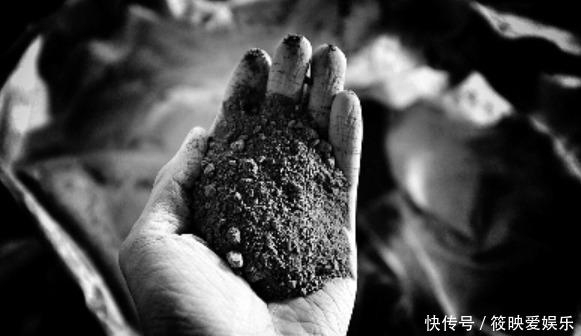 月壤数据对外公布,放大20倍有新发现,此种物质含量很高