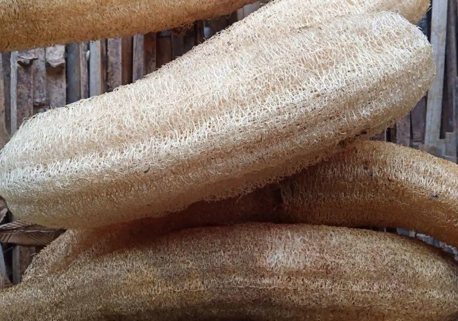 10个偏方,能省不少钱,把花养的又肥又壮