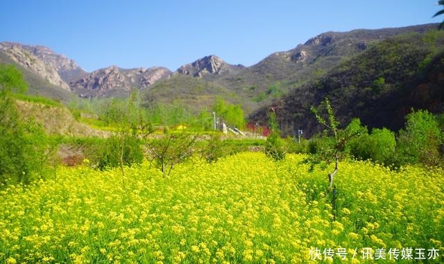 自驾游常馨谷：追寻春天最后一抹油菜花