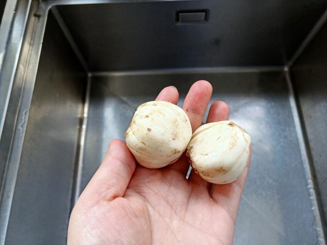 养生壶|厉害了！1把绿豆1颗百合煮一煮，解除了很多人的烦恼，便宜又管用