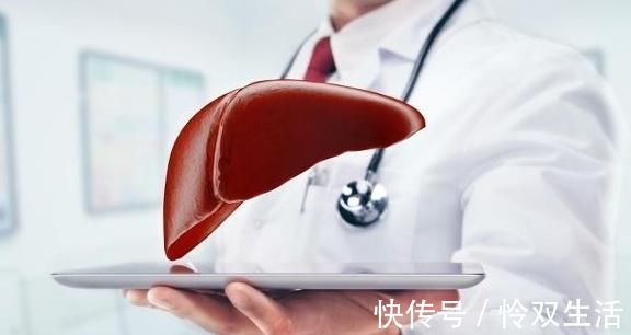 免疫力|蒲公英和它是“天作之合”,坚持喝一月,提高免疫力,修复肝细胞