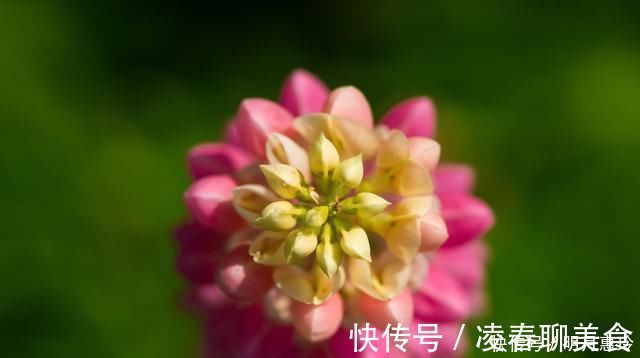 白开水$50、60、70岁的朋友,记住这7句话,让你的生活更幸福