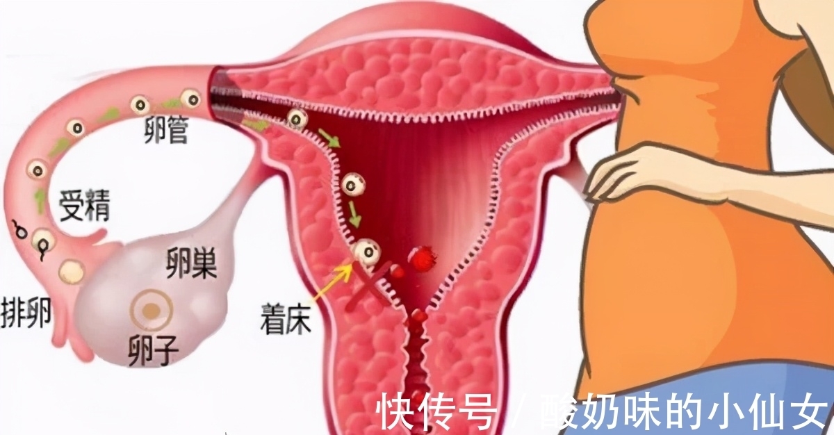 妇女|10胞胎!南非妇女或打破吉尼斯世界纪录,接生医生为何忧心忡忡?