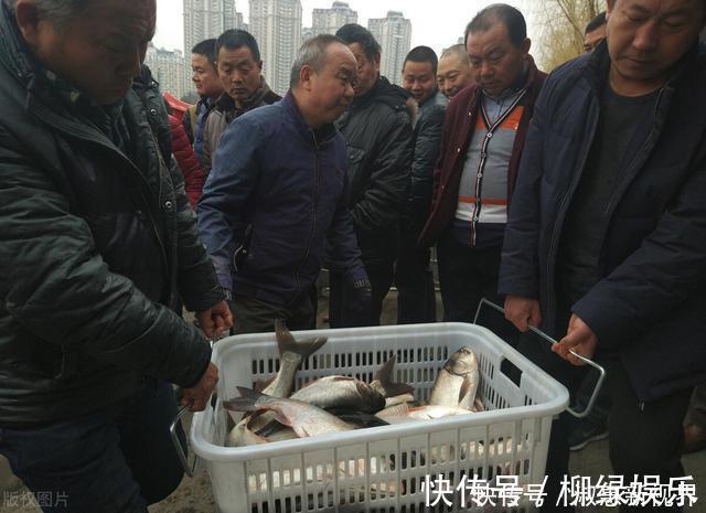 吃鱼越多越好，这4种鱼趁早撤离饭桌，便宜也别买，鱼贩也很少吃