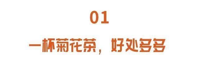 清头|菊花和它是绝配！经常泡水喝，养肝又润肠，还能清头、明目