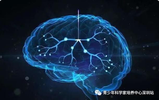 发现|麻省理工最新研究发现：孩子大脑发育最佳方式，并非是靠“阅读”