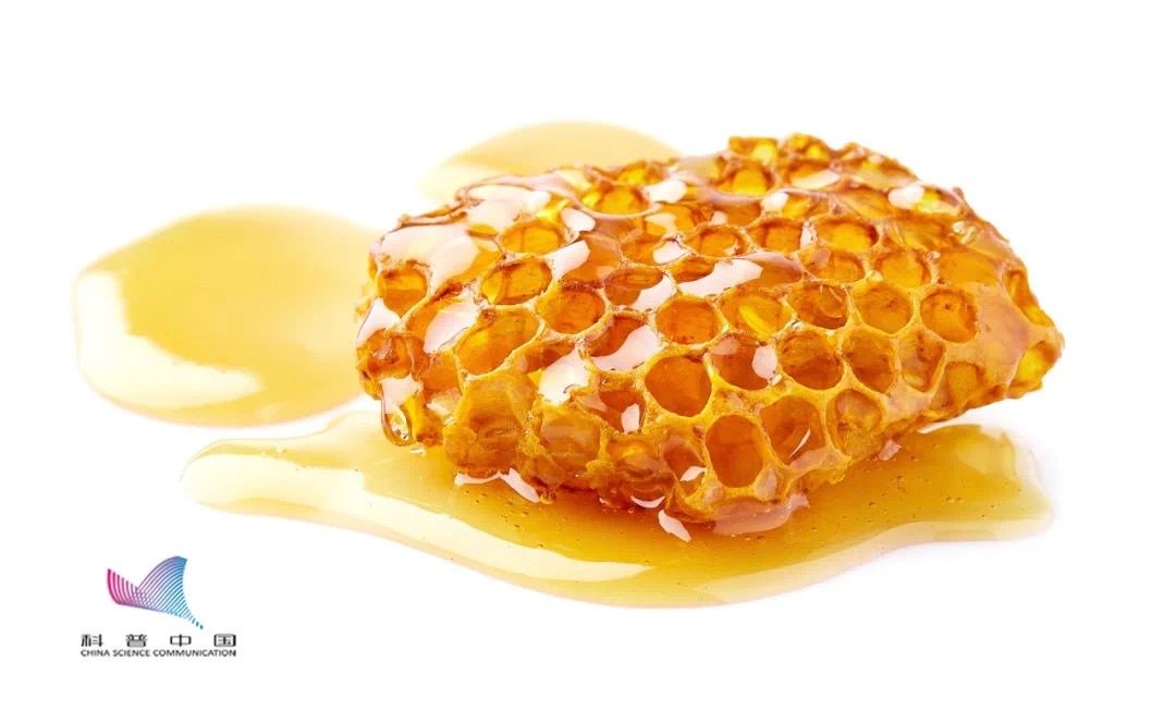 含水量|蜜蜂是如何将蜂蜜制造出来的？