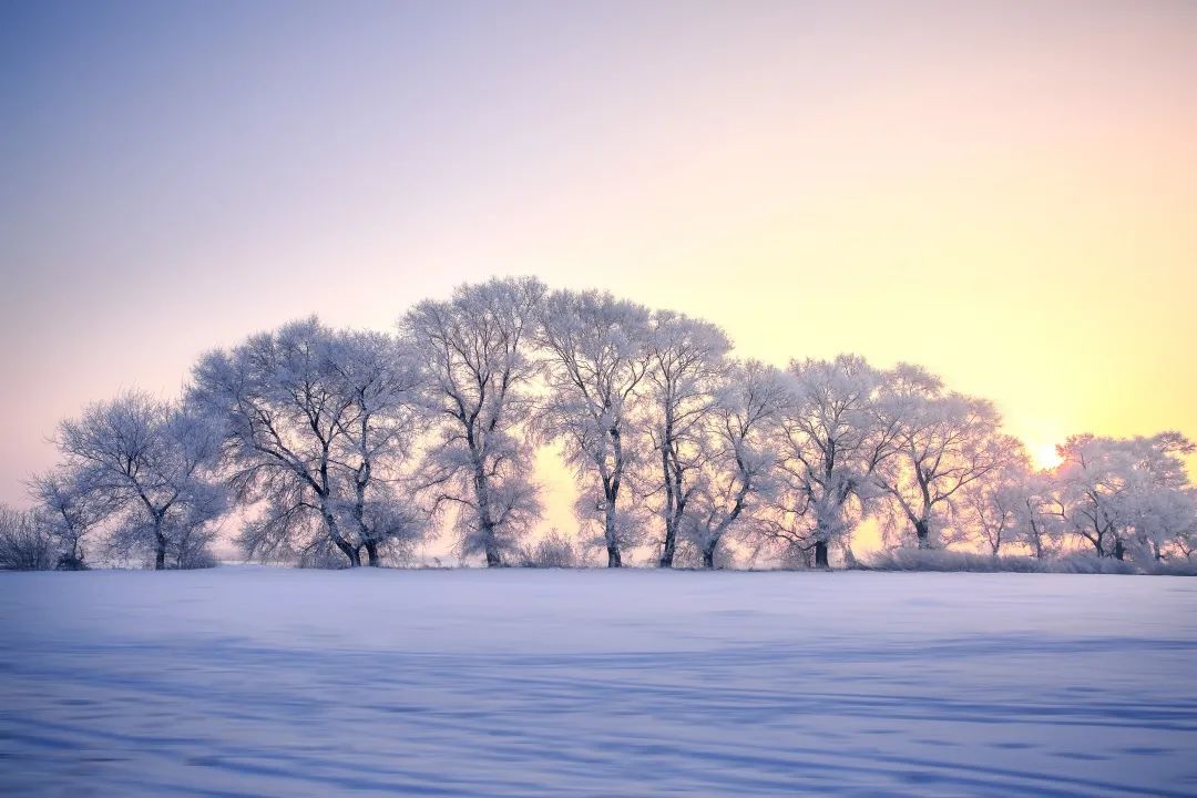 26度vs零下26，英雄攀枝花还是静谧雪乡？给你一样的冬日美