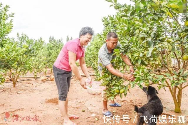 全运会|全红婵抵达广州将回家过中秋 迈合村大整村貌迎三冠王 全父十分激动