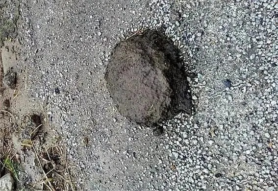 冬天钓鱼,就用这几种窝料,学会如何使用,上鱼速度让人嫉妒