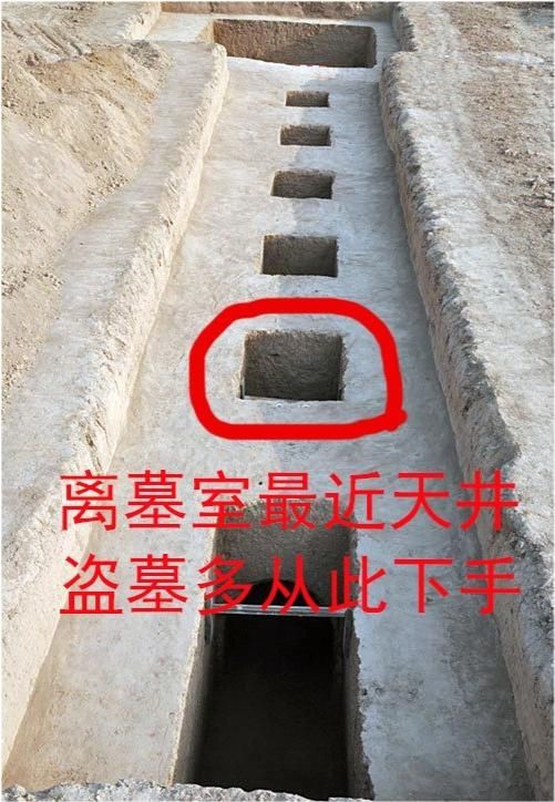 发现|考古挖掘不久即发现盗洞,被笑与盗墓走一条路,进入墓室后意外了