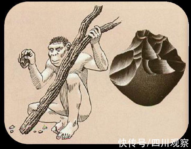 砍砸器#稻城“石”破天惊④这些石头有啥用？考古专家的解“石”攻略来了