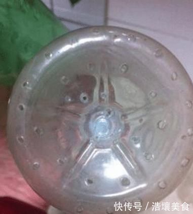 豆芽好吃不用买，教你在家发豆芽，只需一个塑料瓶，4天就可以吃