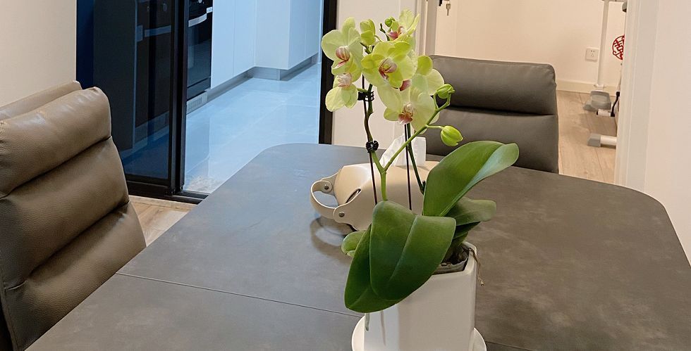 客厅养花有讲究：这3类植物再“喜欢”也别养，对家人不利