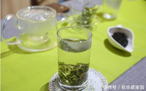 喝茶会加重冠心病还是会减轻冠心病?最新研究给出答案