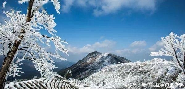 美丽“冻”人，快来“云”赏雪！看绝美铜钹山！