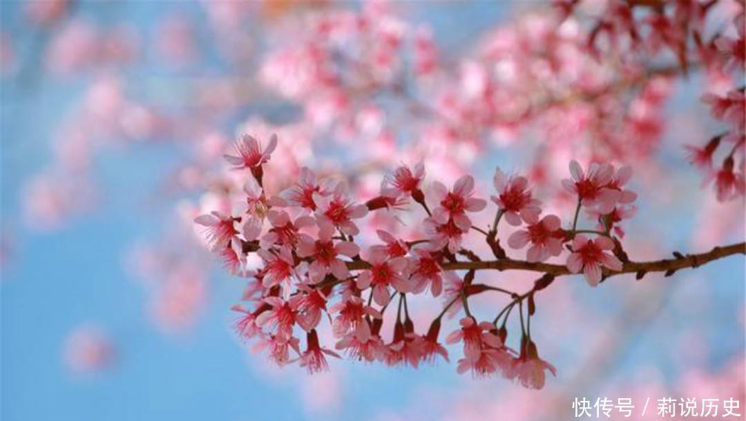 落魄|晚唐落魄才子吴融,一生命运多舛,写下的这首《卖花翁》句句伤感