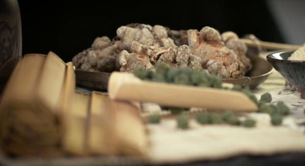 北回归线|文山三七宣传片——《时光里的三七》