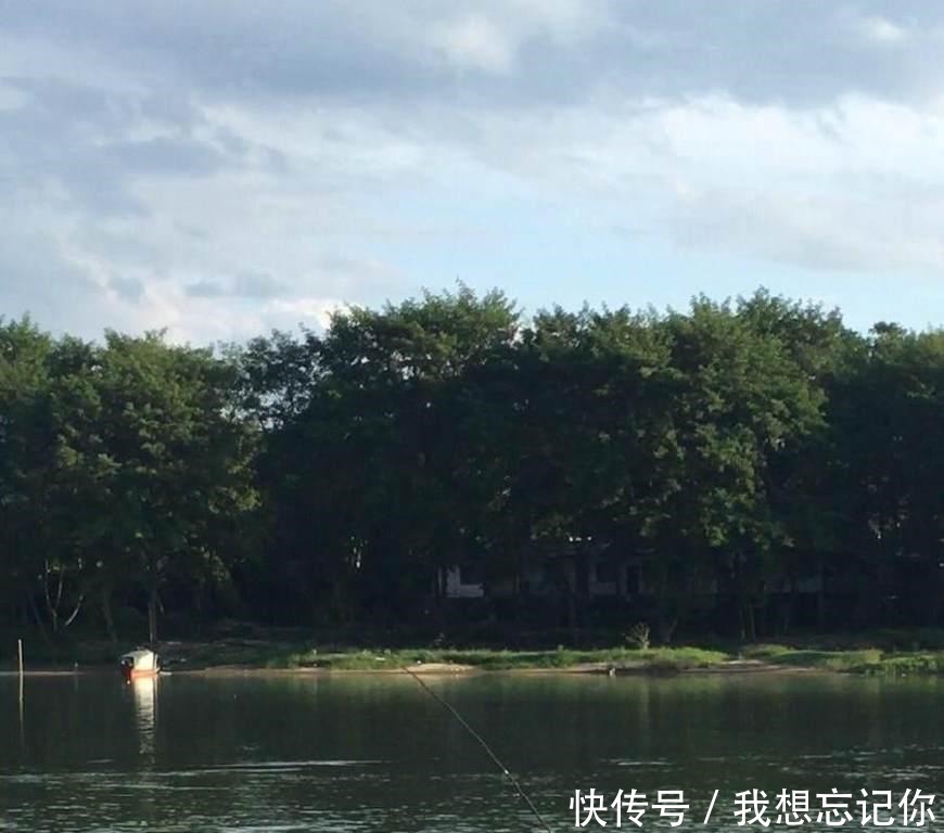 公园钓鱼,鱼竿被拖下水,游泳扛回,发现鱼还在!