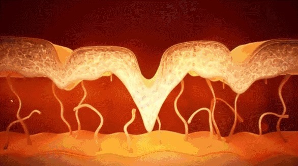 小建议 给大家的50条护肤小建议:不整容,也可以变美的方式!