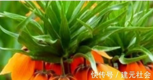 养生|每天晚上坚持吃3种食物,美容养生、延缓衰老,身体棒棒哒!