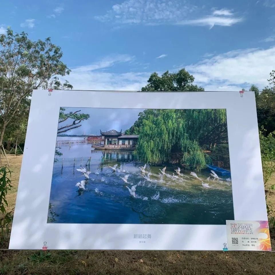 今日|第三届太湖公共艺术节今日隆重开幕啦！