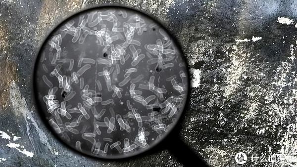 冲牙器|这3种“冷门”家居用品,刚开始“不习惯”,用后却离不开,你用过几个?