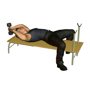 背部|了解不同仰卧屈臂上拉动作演示,如何侧重不同肌肉进行针对练习?