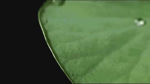 素湃 国潮鞋做得有多牛?雨天不湿鞋,穿一天不捂脚,好看还不贵