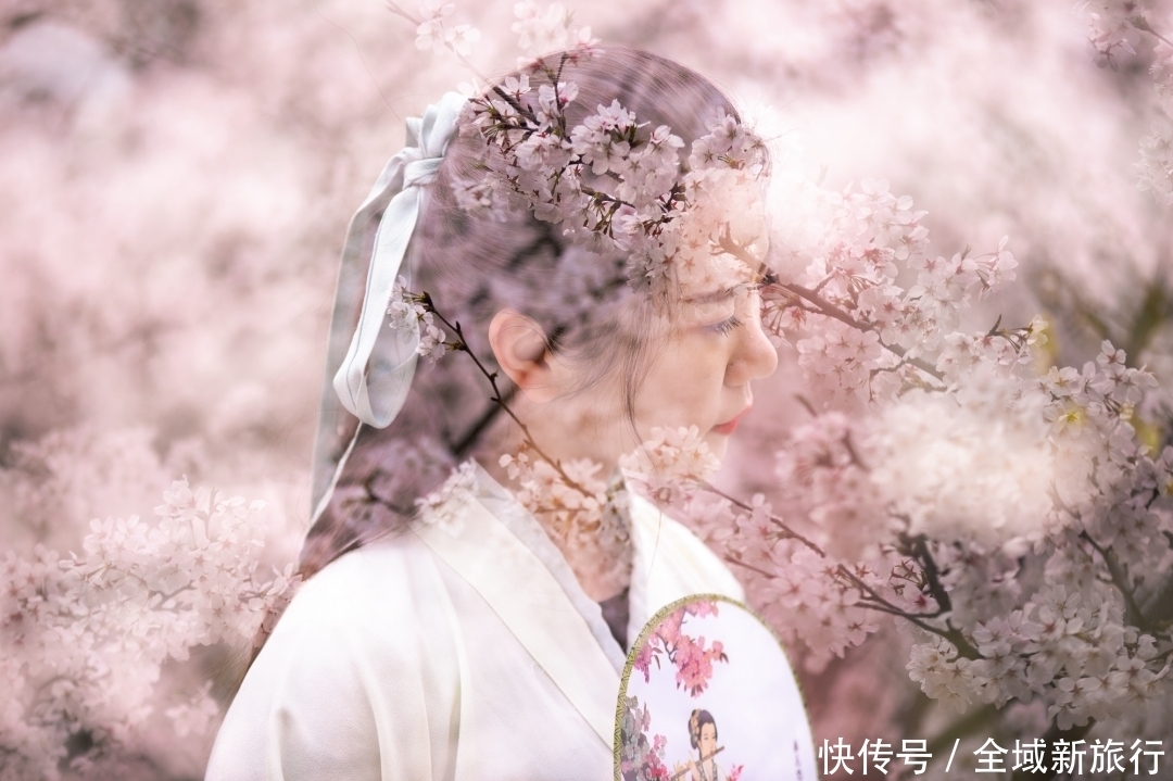 永安寺|锦里沟的樱花小火车将于今年3月1日发车了~