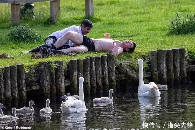 剑桥|剑桥“水怪”!揍人打狗未逢敌手?这么嚣张居然是女王给ta撑腰