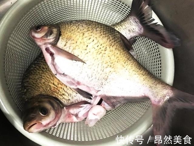 怪事|钓鱼圈的这几个“怪事”,大部分钓鱼人都遇到过