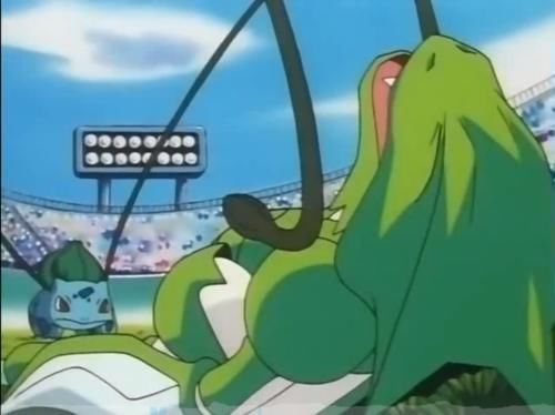 剧本|小智最机智的草系宝可梦,不进化的它仿佛已经看了10年后的剧本