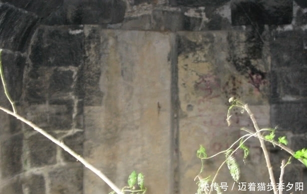 避雨|农民干活时天降大雨,躲菜园子避雨,无意发现古墓,内有五彩舍利