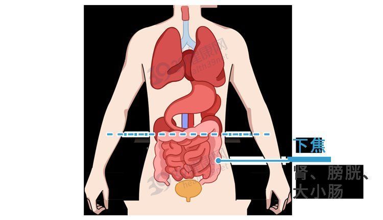 湿毒|中医3个“祛湿方”,有效祛除湿毒,湿毒没了,很多症状就消失了