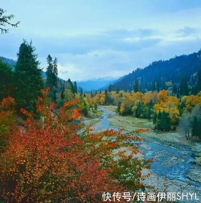 中年|走进伊犁河谷，眺望天山草原的秀美风光!