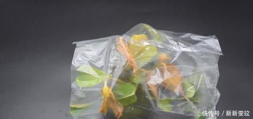 花卉上套一个塑料袋,作用真厉害,可惜懂的人还不多,涨知识了