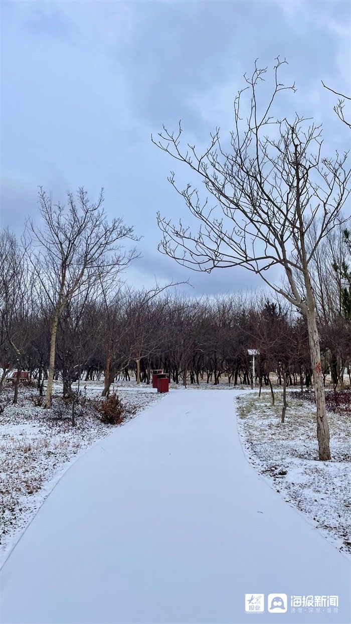 新闻记者|组图｜煮酒温茶，有雪如画 邂逅2021年末这场大雪